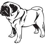 Pug Dog Sticker