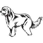 Pyrenean Shepherd Dog Sticker