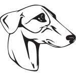 Rampur Greyhound Dog Sticker