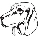 Redbone Coonhound Dog Sticker