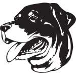 Rottweiler Dog Sticker