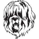 Schapendoes Dog Sticker