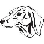 Schweizerischer Niederlaufund Dog Sticker