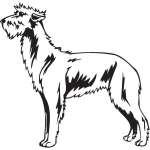 Scottish Deerhound Dog Sticker