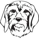 Segugio Italinao Dog Sticker