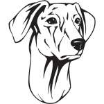 Sloughi Dog Sticker