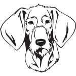 Slovakian Rough-haired Pointer Dog Sticker