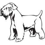 Soft-Coated Wheaten Terreir Dog Sticker