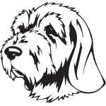Spinone Italinao Dog Sticker
