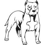 Staffordshire Bull Terrier Dog Sticker