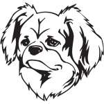 Tibetan Spaniel Dog Sticker