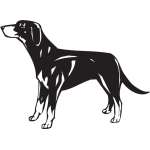 Transylvanian Hound Dog Sticker