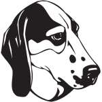 Treeing Walker Coonhound Dog Sticker