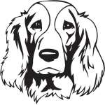 Welsh Springer Spaniel Dog Sticker