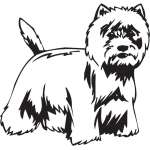 West Hightland White Terrier Dog Sticker