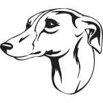 Whippet Dog Sticker