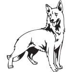 White Shepherd Dog Sticker