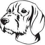 Wirehared Vizsla Dog Sticker