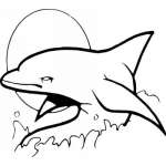 Dolphin Sticker 111