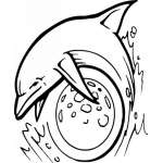Dolphin Sticker 113