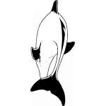 Dolphin Sticker 144