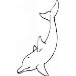 Dolphin Sticker 149