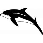 Dolphin Sticker 155