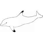 Dolphin Sticker 158