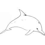 Dolphin Sticker 159