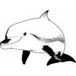 Dolphin Sticker 168