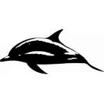 Dolphin Sticker 172