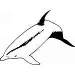 Dolphin Sticker 187