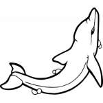 Dolphin Sticker 191