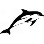 Dolphin Sticker 202