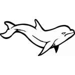 Dolphin Sticker 305