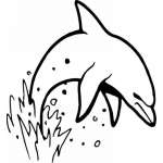 Dolphin Sticker 307