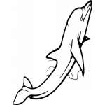 Dolphin Sticker 335