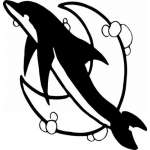 Dolphin Sticker 358