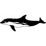 Dolphin Sticker 382