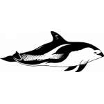 Dolphin Sticker 398