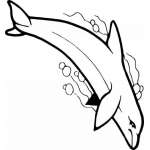 Dolphin Sticker 407