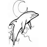 Dolphin Sticker 427