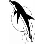 Dolphin Sticker 440