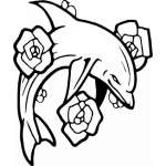 Dolphin Sticker 462