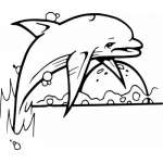 Dolphin Sticker 465