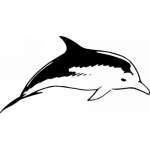 Dolphin Sticker 6