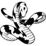 Snake Sticker 242