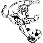 Soccer Sticker 46