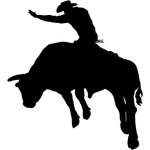 Bull Riding 17 Sticker