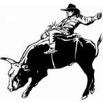 Bull Riding 20 Sticker